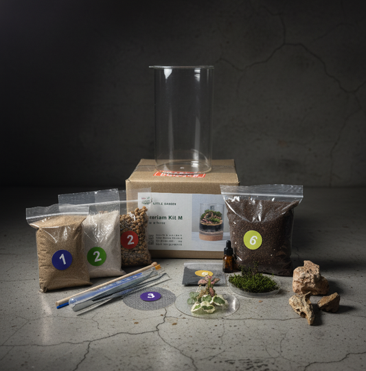 All Inclusive Terrarium DIY Kit - Large