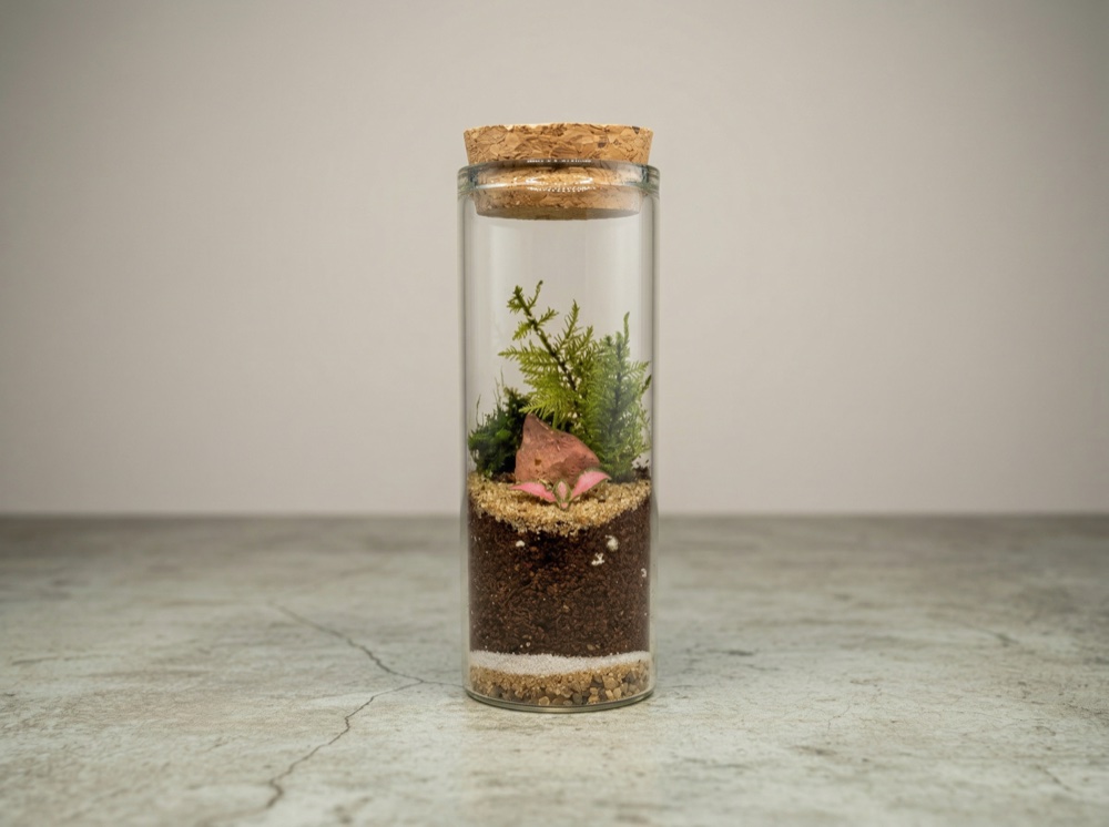 Terrarium Mini